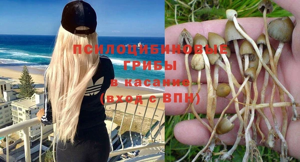 ПСИЛОЦИБИНОВЫЕ ГРИБЫ Верхний Тагил